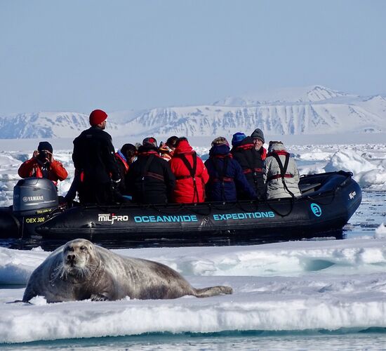 Entdeckerreise Nordspitzbergen - Eisbären, Wale und mehr © Nordspitzbergen